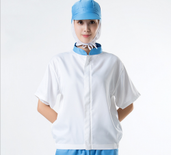 大连食品深夜视频在线