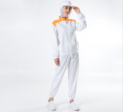 大连食品深夜视频在线厂家