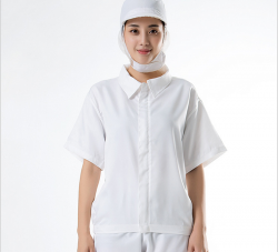 大连食品深夜视频在线厂家定做